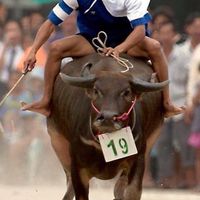 ตีตั๋วทัวร์นรก