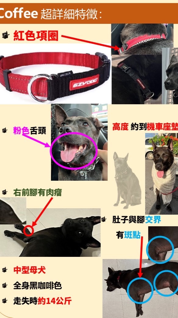 Coffee要回家了嗎？（通報社群）