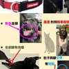 Coffee要回家了嗎？（通報社群）
