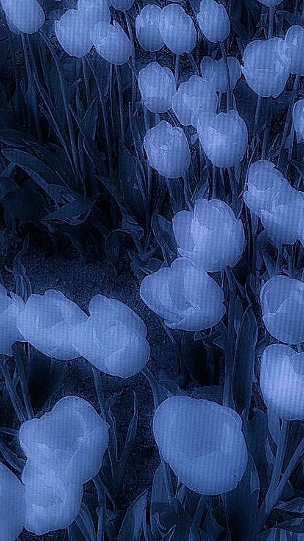 遊び(意味深) oc   最強無敵連合