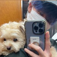 ゴミリスのゴミ箱