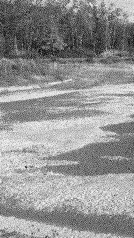 関大レコード音楽部(入部希望者用)