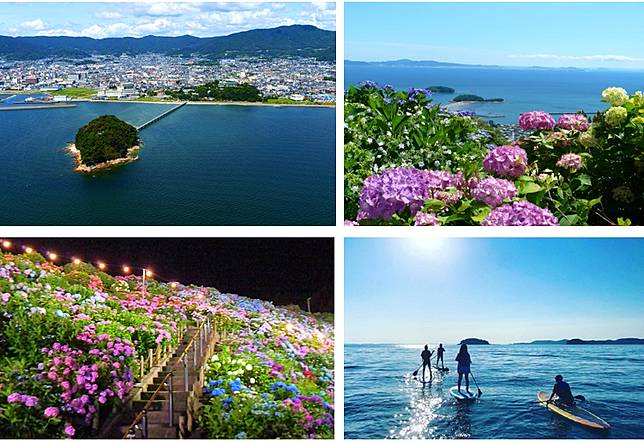 日本最美海天一色單車路線 騎進三河灣國家公園賞花去 旅奇傳媒 Line Today
