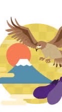 紫ナス族　アライズクロスオーバー