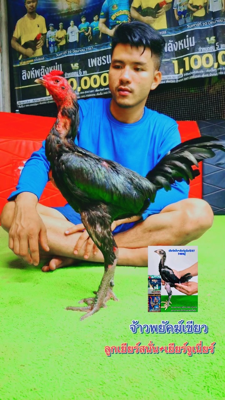 เกียรติศักดิ์