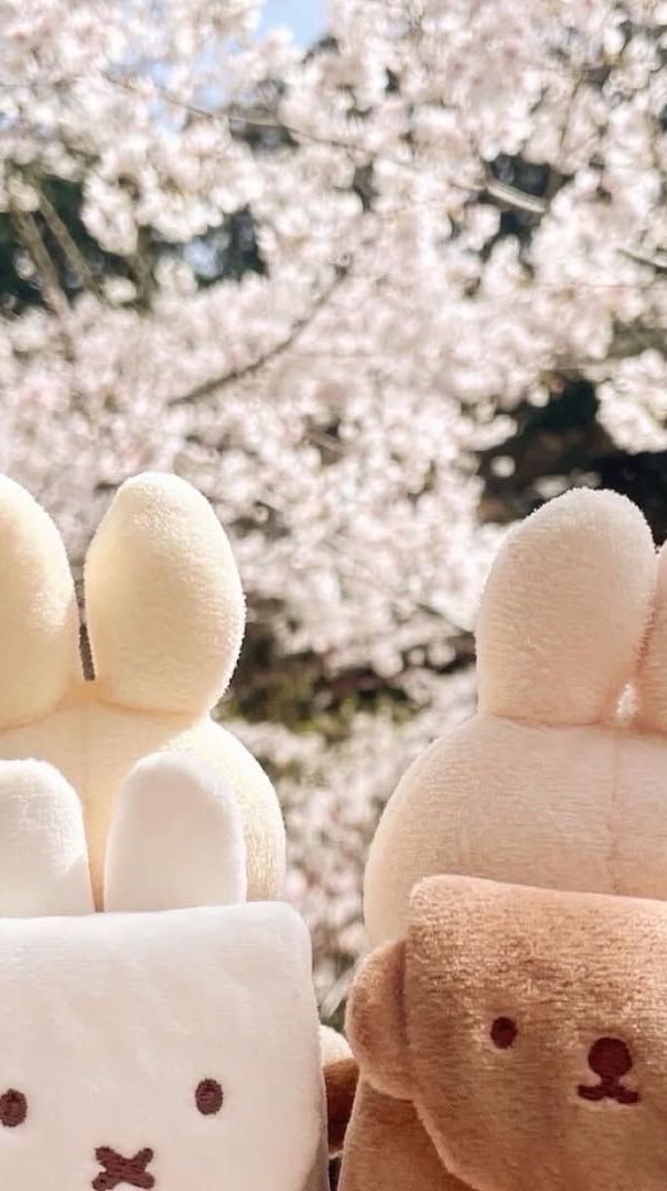 littleyiwa แจ้งข่าว 🐰✨