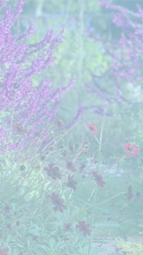 カトちゃんねる花友会