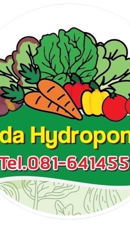 Veda Hydroponics ผักสลัด ผักนำเข้า ผักสด