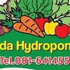 Veda Hydroponics ผักสลัด ผักนำเข้า ผักสด