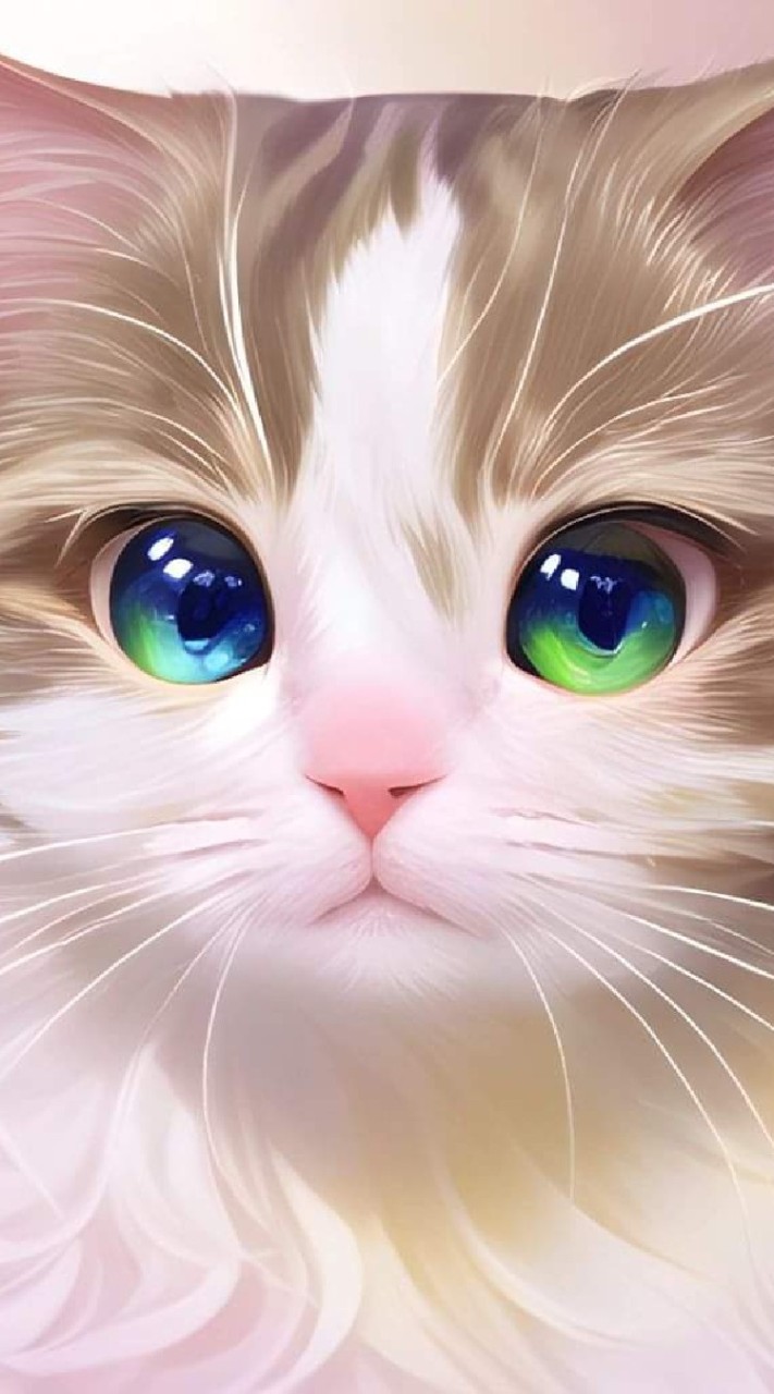一起吸貓吧