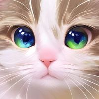 一起吸貓吧