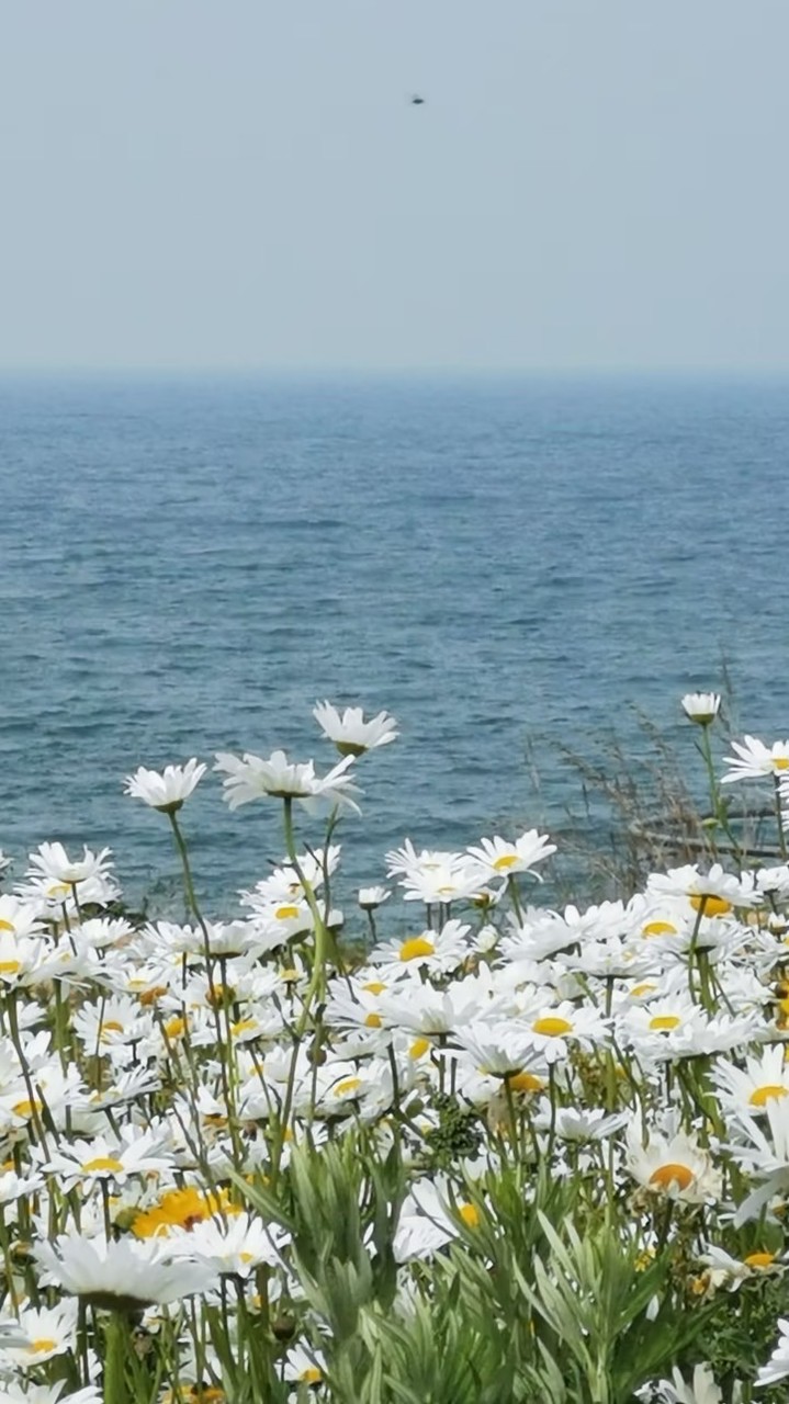 財氣滿滿小撲滿VIP