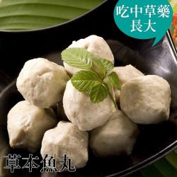 ◎全家大小都愛~爽脆的口感，使用新鮮的草本魚魚漿當作原料|◎進行加工做出美味可口的虱目魚丸，大小剛好的尺寸，絕對讓您愛不釋手|◎讓大人小孩都好入口，爽脆彈牙的口感，讓人忍不住一顆接一顆品牌:台江漁人港