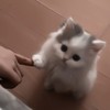 ตัวแทนเติมเกม/ขายแอพ