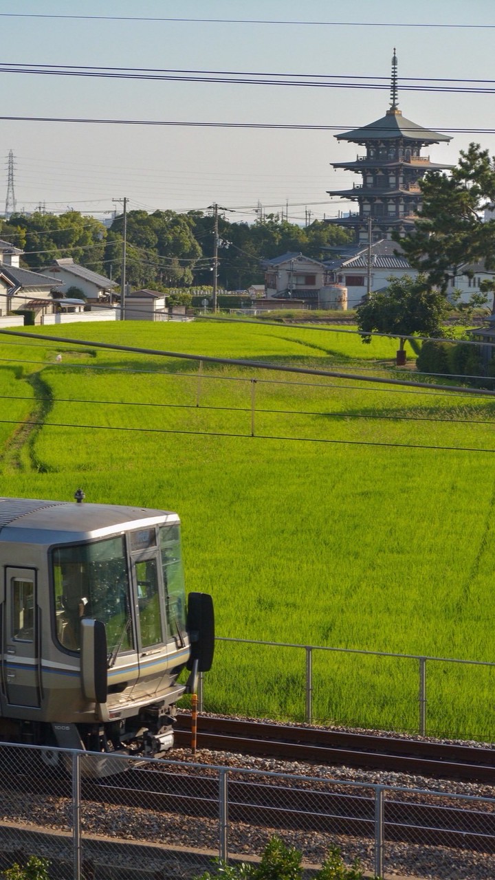 たむのおぷ(鉄道・バス部屋)