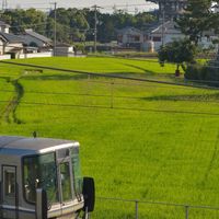 たむのおぷ(鉄道・バス部屋)