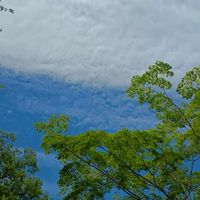 学び愛〜スピリチュアル的幸せになる方法