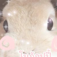 โรงเรียนแรบบิทวิทยา🐰