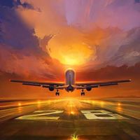 搭乗案内✈︎(機長オプチャ)