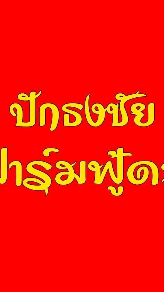 ปักธงชัยฟาร์มฟู้ดส์