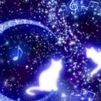 🌸みんなで作る大人の癒し部屋🌸（即承認✨）