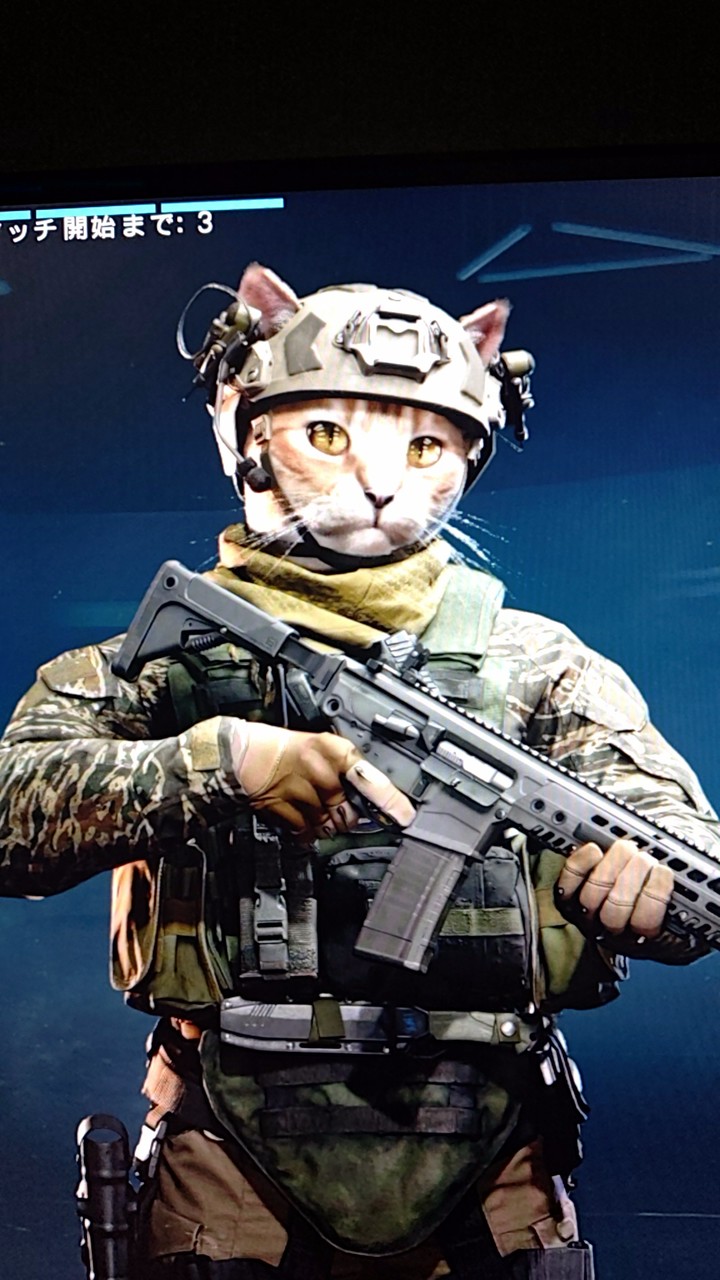cod wz 小部屋