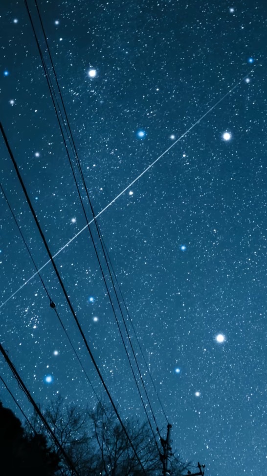 全也.☆.｡.:*・°