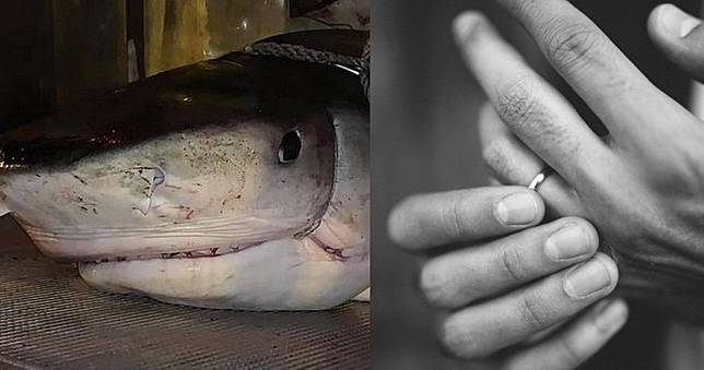 丈夫海邊游泳離奇失蹤　剖鯊魚肚驚見「戴婚戒斷掌」