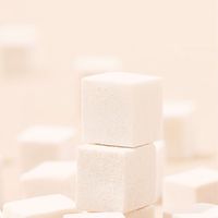 ～ 孤独な人々 ～ 《女性限定》