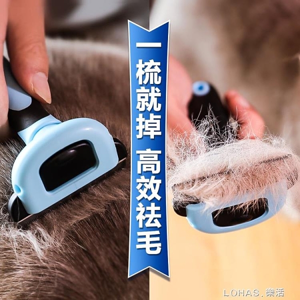 貓咪梳子梳毛刷掉毛去浮毛專用擼貓神器寵物用品刷毛器英短清理器