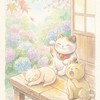 招き猫のひなたぼっこ