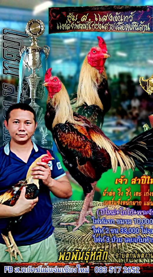 ส.พยัคฆ์แม่แจ่ม พม่ารำวงสายตี
