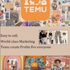 TEMU SHOP ONLINE A1