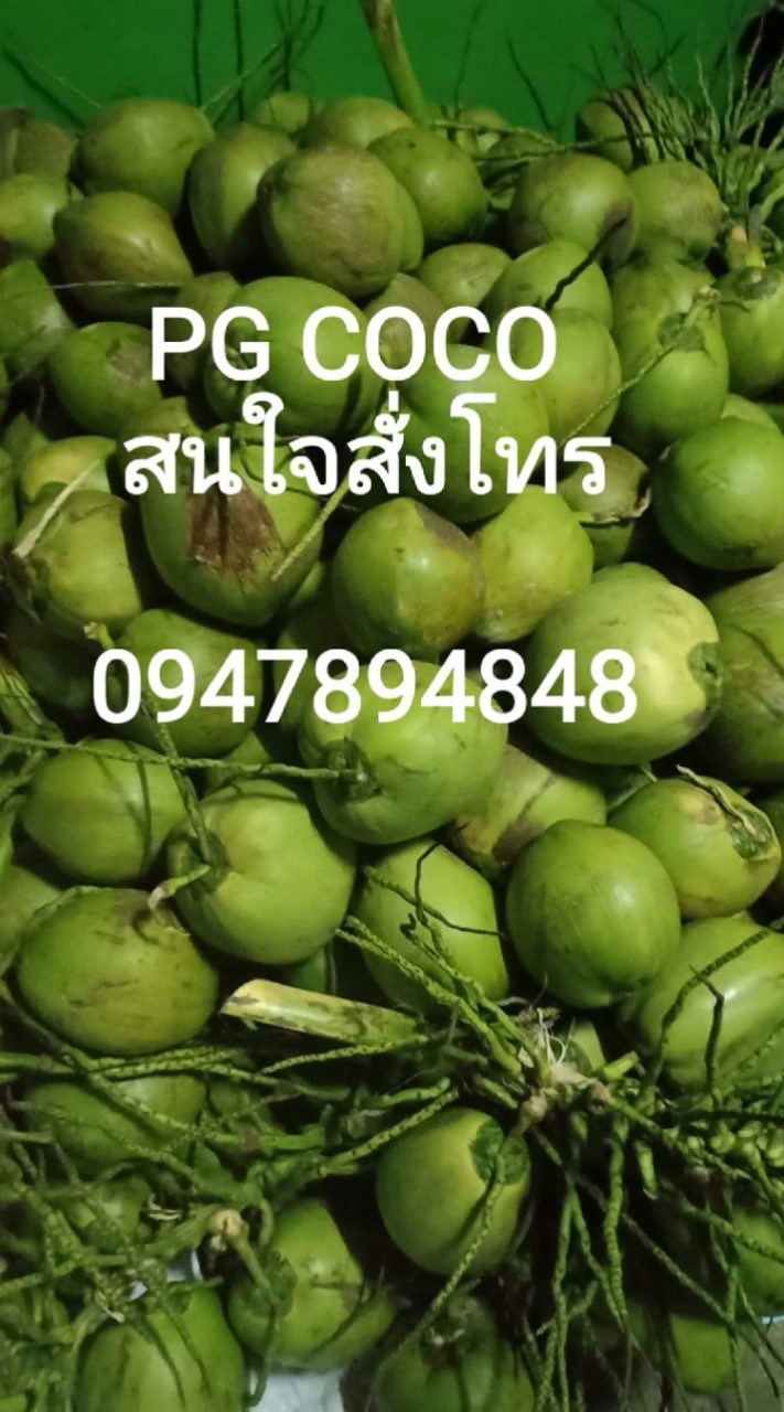 รับตัวแทนขายมะพร้าวน้ำหอมและเต้าฮวย