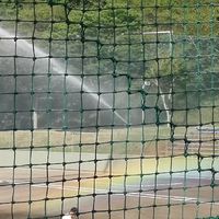 愛知高校野球