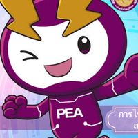 การไฟฟ้าส่วนภูมิภาคสาขาซับสนุ่น