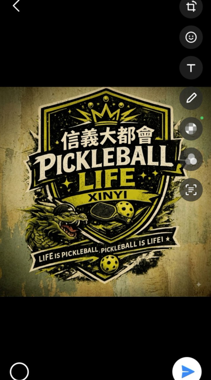 信義大都會匹克球群(龍哥)