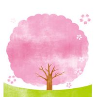【兵庫】お花見＆開花情報🌸写真＆スポット/ 桜 さくら 梅 ウメ 春