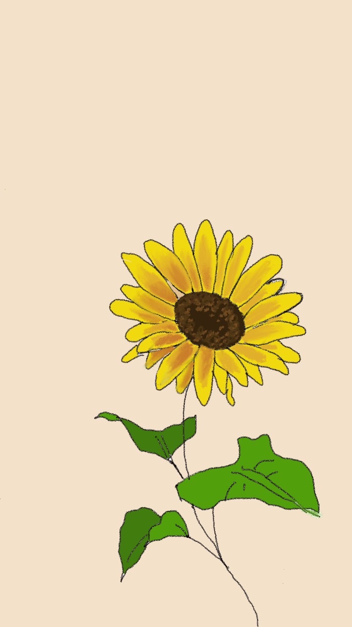 เรื่องเล่าชาวทานตะวัน🌻