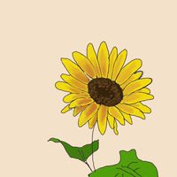 เรื่องเล่าชาวทานตะวัน🌻