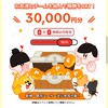 TiktokLight30000円