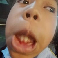 มาเล่นmm2กับ3008ไหม
