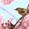 HSPさん専用の部屋໒꒱· ﾟ