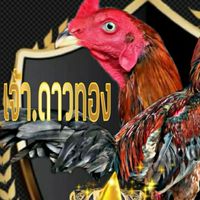 ส.มั่งมี ฟาร์ม เสี่ย.อำนาจ