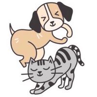貓貓狗狗の皮膚專家