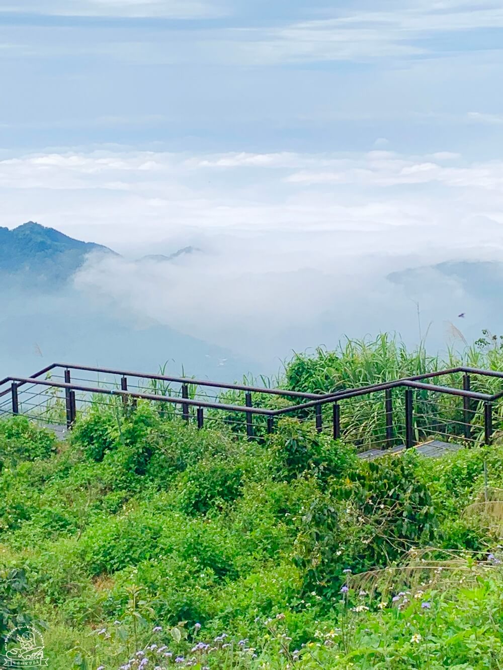 秘境景點推薦二延平步道