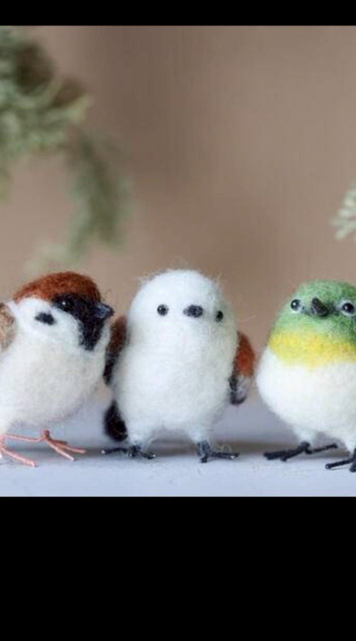 小鳥小動物ペット好きな方楽しくはなそう、雑談も可