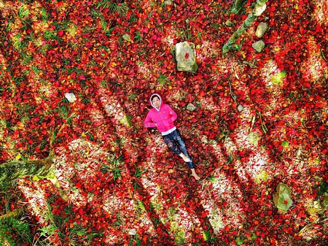 照片來源：IG@tinachang0610