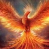 ·̩͙꒰ঌ鳳✧︎凰໒꒱·̩͙