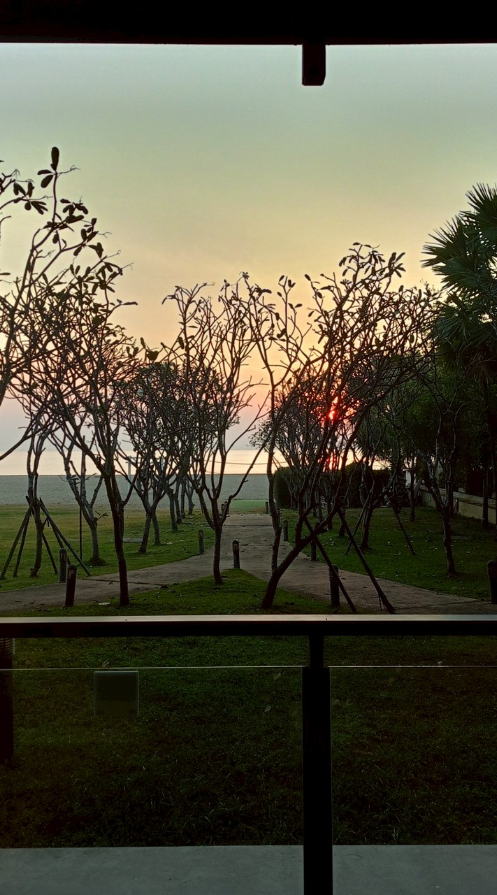 Talk about everything official2✅ Homework Edition